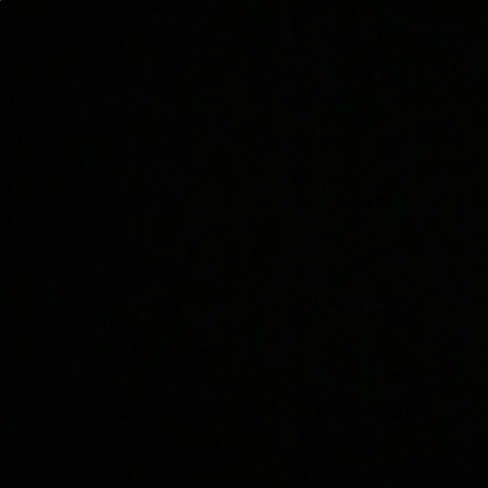 Meet your Posher, Lainy